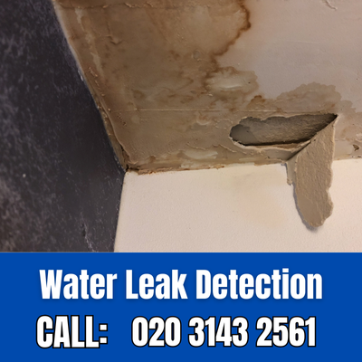 Expert Water Leak Detection Services in Swanscombe | Swanscombe Leak Detection